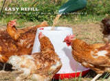Rooster Farms 6Kg Automatic Chicken Feeder - Poultry Hen Feeding Seed Bucket V238-SUPDZ-52768013062