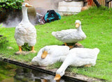 Outdoor Simulation Duck Decoration Garden Pool Water Landscape Decoration Layout Resin Decoration V1294-YM0715-211202DY01-2
