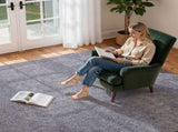 Indoor Plush Area Rugs, 2.44 x 3.05m Plush Carpet, Area Rugs Furry with Long Plushs Pile, Thick & V952-JXDDTSSCR8X1HTYN7001V0