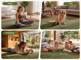 Artiss Tatami Mat Floor Mattress 3cm Thick Futon Mattresses Mellow Mat Rugs Living Room Green TTM-MAT-200X200-GN