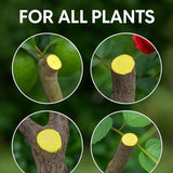3Pack Tree Wound Sealer & Dressing, 150g Tree Pruning Sealer for Cut, Damaged Bark, Grafting V1107-119-84772-GRN-3PACK