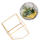 Gold Geometric Shape Succulents Plant Flowerpot Glass Planter Landscape Home Table Decoration V1294-YM0901-3112200036011