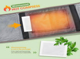 Electric Dual Infrared Light Heat Back Massager Waist Brace Lumbar Support Belt V201-MAS0002GY8AU