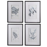 Set 4 Flora & Fauna Framed Prints 76cm V637-20826