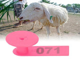 Numbered Ear Tag Marks Labels for Sheep Goats Farm Animal Livestock Feeding SuppliesRose Pink V1294-YM0901-3111200210911