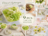 Pale Green Champagne Preserved Hydrangea Resin Making Bundle Set of 9 V1221-XM-LB816-ZS19
