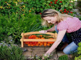 Garden Harvest Basket, Large Vegetable Hod for Gardeners - Garden Basket with Rotating Handle Makes V1192-AZ-W-21167