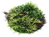 Slimline Artificial Green Wall Disc Art 80cm Grassy Fern UV Resistant V637-DP9855