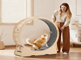 Cat Exercise Wheel, 120cm Wooden Cat Running Wheel for Indoor Cats up to 12.7kg Cats Treadmill with V952-MZMPBJMWSMDB3W6JK001V0