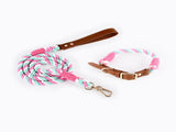 Premium Leather Pet Collar and Leash - Soft, Strong Braided Rope V888-ELOSUNG31174