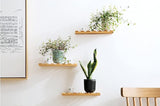 Ceramic Flower Pot - Indoor/Outdoor Use - Shatterproof - White - 1 Piece Wall-Mounted Planter V1258-DP02-BOL-533