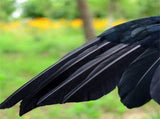 Black Crow Decoration Halloween Realistic Feathered Crows Haunted House Decor for Party Decoration V1294-YM0717-10061730