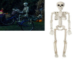 2PCS Skeleton Decorations 35.4 Inch Plastic Posable Spooky Full Body Skeleton Haunted House Prop for V1294-YM0901-3115240091911