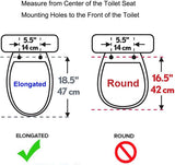 Premium Elongated Toilet Seat with Bidet T Adapter V1258-DP02-C-838