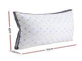 Giselle 2pcs Pillows Microfibre PILLOW-MICRO-4873X2