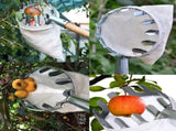 Green Telescopic Fruit Picker Tool with Stainless Steel Extension Pole Carbon Steel Head and Large V888-ELOSUNG40966