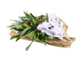 Artificial Driftwood Succulent Planter Faux Wood Resin Succulent Planter for Windowsill Desktop V1294-YM0710-3111230268411