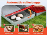 i.Pet Chicken Nesting Box 3 Hole Roll Away Poultry Hen Laying Egg Hutch Red PET-CHICK-BOX-3HF-RD