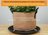 6 Pack 12 inch Self Watering Base for Fabric Grow Bag, Self-watering Plastic Elevated Plant Saucer V1258-DP02-C-524