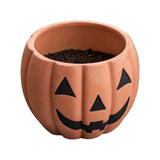 Halloween Decor, Pumpkin Planter with Jack O Lantern Face, Fall Decor for Porch, Indoor Outdoor, V1369-AZ3-W-21678
