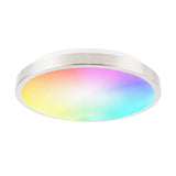 Smart Ceiling Light 11-inch 15W Flush Mount Wi-Fi Ceiling Lamp 2700K-6500K White & RGB Multicolored V1294-YM0901-H40463-11-15