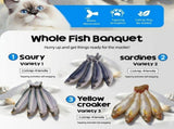 Interactive Electric Cat Toy Fish Set 3 Realistic Mini Simulation Fish with Motion-Activated V1341-ZY-DQ7V9CEA-MULTICOLOR