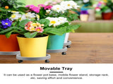 Planter Trays For Indoor Plants Dark Grey Plant Wheels Tray 1 Tray V1369-AZ3-W-20026