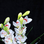 100cm Faux Artificial Home Decor Potted Cymbidium-Red/White - White V915-MB0028-WH