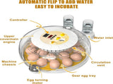 CARLA HOME 18 Egg Incubator withmatic Turning, LED Display, Humidity & Temperature Control, V178-36353