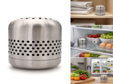 Stainless Steel Refrigerator Deodorizer Box, Reusable Fridge Odor Absorber and Eliminator, No V1366-AZ2-W-24959