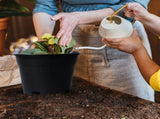 Black Nursery Pots 10 Gallon, Thick Planters with Drainage Holes for Gardening, Flowers, Vegetables V1366-AZ2-W-16510