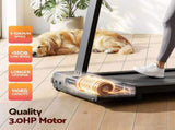 Everfit Walking Pad Treadmill 2 in 1 Foldable for Home Gym 40cm Wide Belt 12 Programs with App TMILL-400-TH-BK