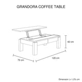 Coffee Table High Gloss Finish Lift Up Top MDF White Ash Colour Interior Storage V43-CT-GND-WA