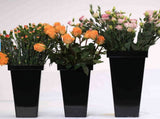Tutuviw Plastic Flower Vase, Tall Flower Pot Pack of 1, Patio Deck Indoor Outdoor Garden Tree V1189-WXFWAL-20260319-00097