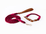 Premium Leather Pet Collar and Leash - Soft, Strong Braided Rope V888-ELOSUNG31298