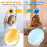 1 Pack Wake Up Light Alarm Clock with FM Radio and Sunrise Sunset Simulation V1188-MS-325-0280