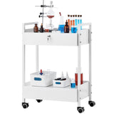 VEVOR Lab Cart, 2 Tiers Stainless Steel Utility Cart, Medical Cart with 2 Drawers, Rolling Lab Cart V952-SYSSTCB4Q235238MLV0