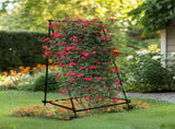 FIN Metal Garden Trellis Arch Climbing Plants Grow Support Frame with Ground Spikes V767-HJ-XZ1638