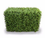 Deluxe Portable Buxus Hedges UV Stabilised 100cm Long X 55cm High V77-1012744