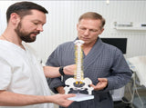 Mini Human Spine Model for Kids, 17 Vertebra Model with Stand for Medical Students, Osteopaths and V1366-AZ2-W-07301