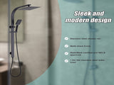 WELS 10" Rain Shower Head Set Square Dual Heads High Pressure with Handheld in Black V63-848021