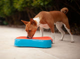 4-in-1 Slow Feeder Dog Bowl - Blue Bowl and Warm Ocean Red Lickmat V1023-SF-4IN1-BL