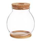 Transparent Glass Terrarium Planter for Home Decor, Minimalist Design, Indoor Plant Holder V1369-AZ3-W-12982