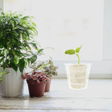 4-Pack Heavy Duty White Plastic Hydroponic Net Pots for Indoor Gardening and Soil-Free Plant Growing V1369-AZ3-W-16794