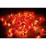 1 Set of 20 LED Deep Red Frangipani Flower Battery String Lights Christmas Gift Home Wedding Party V382-REDFRANGIBATT20