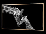 Yezi Animal Wall Art Canvas Modern Abstract 80120cm Framed Artwork Home Decor DECO1039-P2-80X120-AU