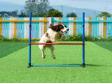 Dog Agility Training Equipment, 5 PCS Set with Adjustable High Hurdles,6 Weave Poles, Tunnel, Jump V952-TYKMJKCTJJCKQMHUSV0