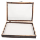Insect Display Box for Kids, 31x22x4.5cm, Coffee Color, Educational Pinning Kit for Children V1369-AZ3-W-20935