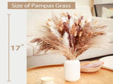 120 Pcs Dried Pampas Grass 17 Inch White Pompas Bouquet Fluffy Dry Pompous Bunny Tails Flower Small V1188-WTJ-SJH-1113