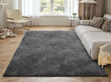 Indoor Plush Area Rugs, 1.52 x 2.44 m Soft Plush Carpet, Furry Shag Area Rugs for Living Room, V952-JXZXDTSM5X8FIY14O001V0
